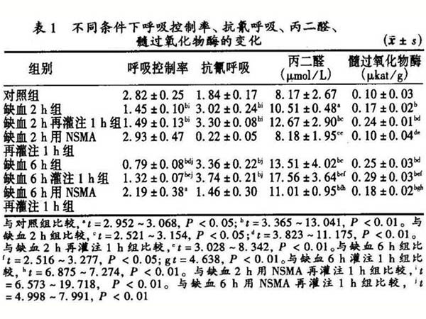 線粒體功能與骨骼肌缺血再灌注損傷的關(guān)系