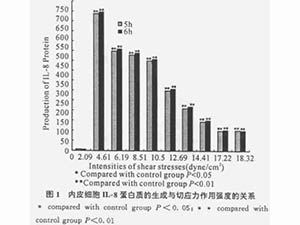 流體切應(yīng)力作用強度對內(nèi)皮細胞IL-8生成