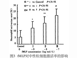 中性粒細胞激活及其與內(nèi)皮細胞粘附的關(guān)系