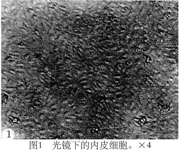 201512132037577641.jpg